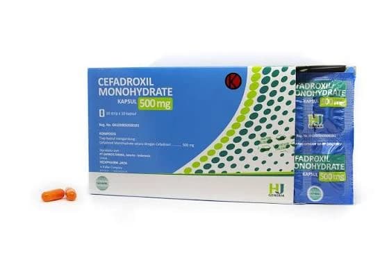 CEFADROXIL HJ 500 MG BOX 100 TABLET